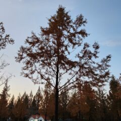 효율적인 일정 관리