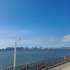 전혀 두려움 없는 강의