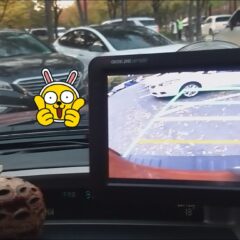 2주 완성 코스 수료